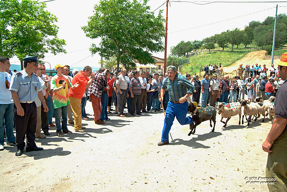 Campania. Ricigliano. "La Turniata di S.Vito"