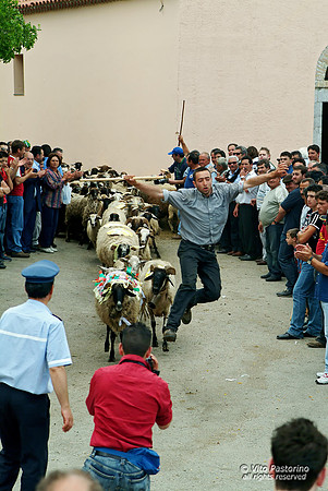 Campania. Ricigliano. "La Turniata di S.Vito"