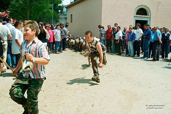 Campania. Ricigliano. "La Turniata di S.Vito"
