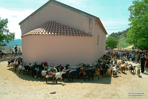 Campania. Ricigliano. "La Turniata di S.Vito"