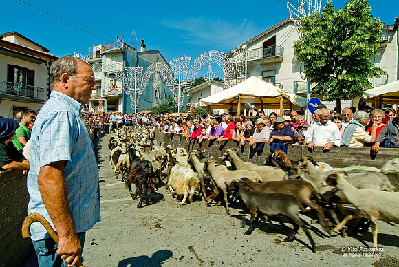 Campania. S.Gregorio Magno. "La Turniata di S.Vito"