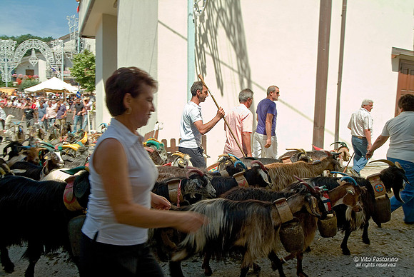 Campania. S.Gregorio Magno. "La Turniata di S.Vito"