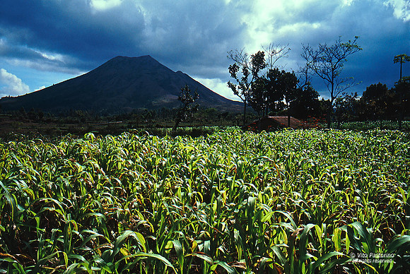 Indonesia. Bali. Il vulcano Batur.